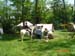 Shandy Hall reinactmen0003